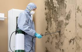 Forensic Mold Investigation in Petersburg, WV